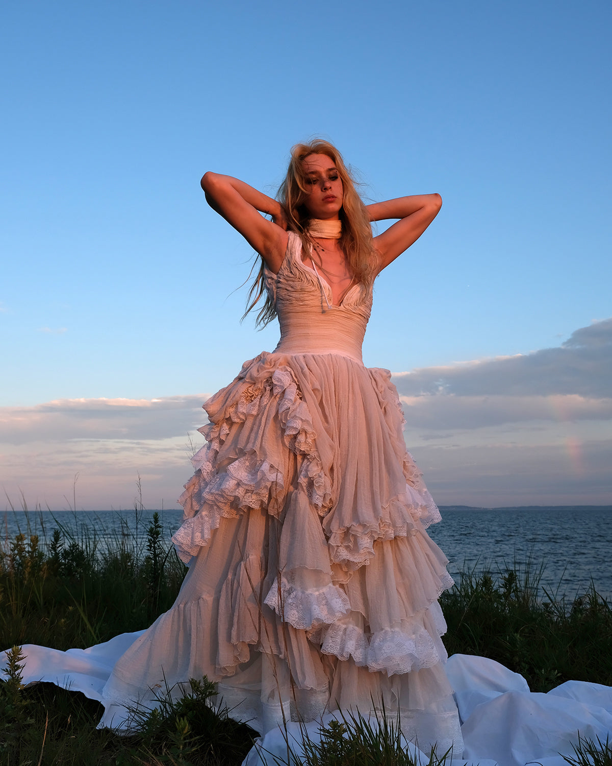 The Swan Gown