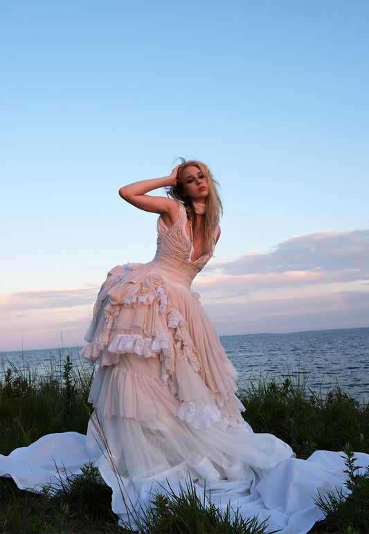 The Swan Gown