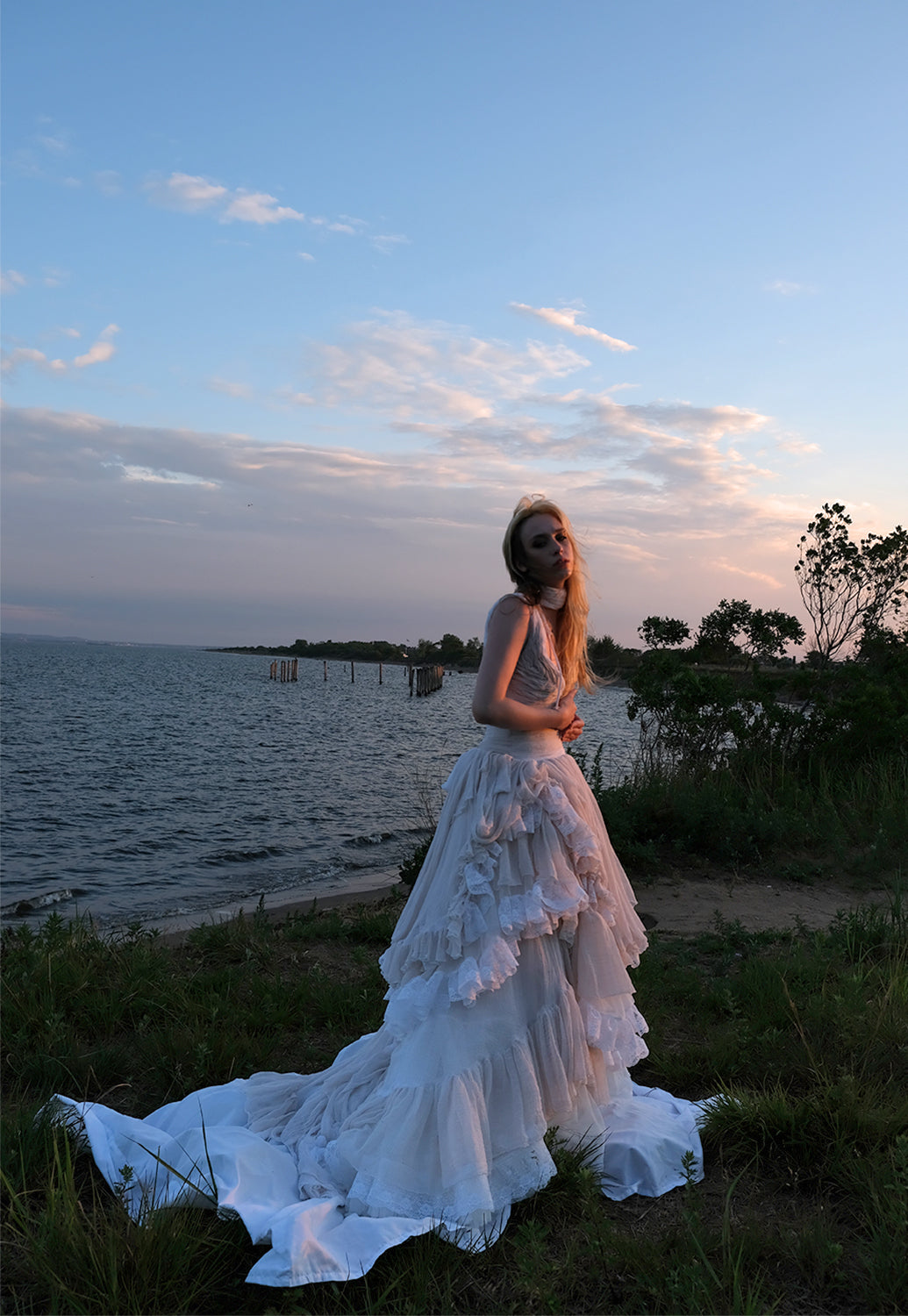 The Swan Gown