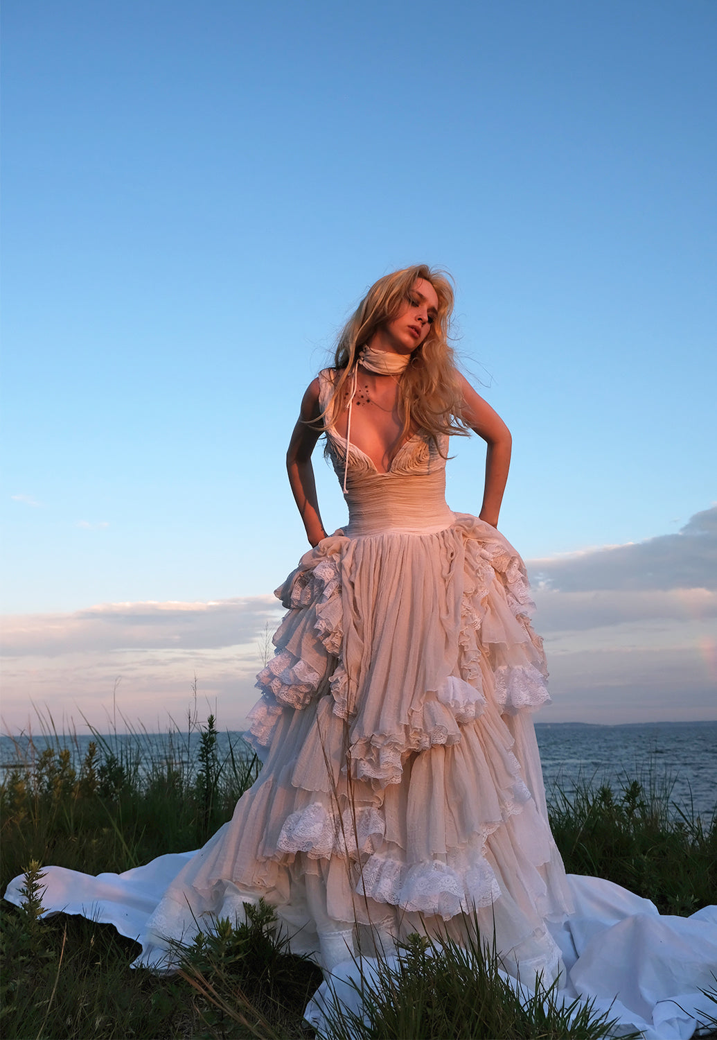 The Swan Gown