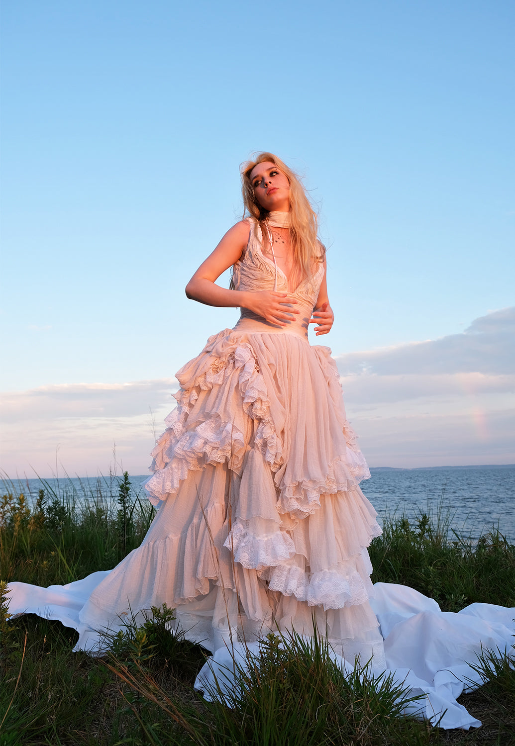 The Swan Gown